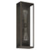 Hollis Two Light Exterior Wall Sconce in Blackened Brass (577|207729A)