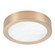 Argyle LED Flush Mount in Champagne Gold (577|207614A)