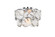 Charlotte Six Light Flush Mount in Chrome (173|1010F16C01CR)