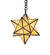 Moravian Star One Light Pendant in Craftsman Brown (57|294073)