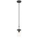 Lily One Light Pendant in Matte Black (18|62309MBLCLR)