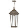 Hawthorne LED Pendant in Blackened Brass (13|19692BLB)