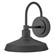 Forge LEDWall Mount Barn Light in Black (13|12075BK)