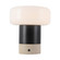 Niko LED Table Lamp in Urban Bronze/Matte Opal Glass (452|TL361707UBGO)
