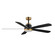 Petals 60'' Ceiling Fan in Black / Gold (16|88828BKGLD)