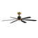 Petals 60'' Ceiling Fan in Black / Gold (16|88326BKGLD)