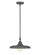 Camden One Light Pendant in Modern Bronze (224|2308P14MBZ)