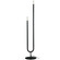Wand Two Light Floor Lamp in Matte Black (216|WAN602FMB)
