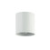 Theron One Light Flush Mount in White (216|TRN41FHMW)