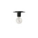Roswell One Light Flush Mount in Black (216|RSW61FHMB)