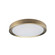 Flynn LED Flush Mount in Aged Brass (216|FYN1224LEDFHAGB)