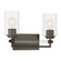Binsly Two Light Vanity in Rustic Gun Metal (7|2642749)