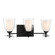 Elowen Three Light Vanity in Dark Matte Black (7|10253899)