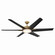Deco 65'' Ceiling Fan in Heritage Brass (15|F866LHBRCL)