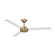 Roto 52'' Ceiling Fan in Brushed Brass (15|F524BBRALW)