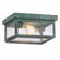 Branford Two Light Semi Flush Mount in Verde Green (405|91122VGCL)