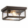 Branford Two Light Semi Flush Mount in Bronze (405|91122BZCL)