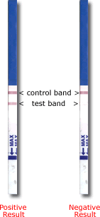 Alfa Scientific hCG Pregnancy Test Strips Instant View 50/Box FDA Cleared