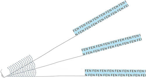 Single Panel FEN or FYL Drug Test Strip 50/Box