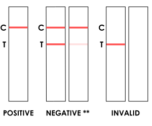 Abbott 5-Panel dip Card Test Intrtpretation