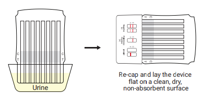 UScreen 10-Panel Drug Dip Card Instructions