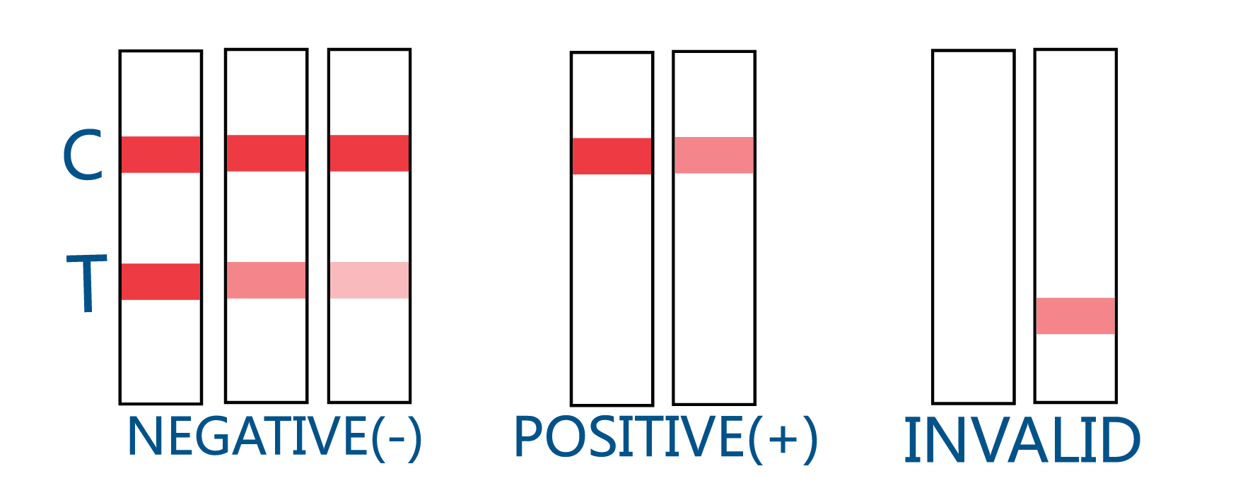 Interpretation of Drug Test Results