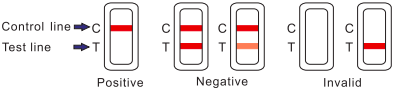 Healgen Drug Test Results Intrepretation