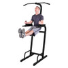 BFVK10B Vertical Knee Raise