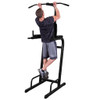 BFVK10B Vertical Knee Raise