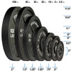 Body-Solid Cast Iron Olympic Plates