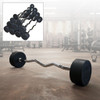 Body-Solid Tools Fixed Weight Curl Barbells