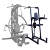 Fusion Chin-Up and Dip with Weight Assist