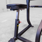 Series 2 Arm Curl Machine