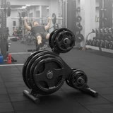 Body-Solid Olympic Plate Tree