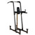 Body-Solid Fusion Chin-Up and Dip Body-Solid Fusion Chin-Up and Dip
