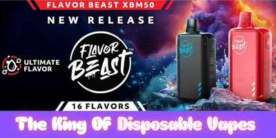 Flavor Beast 50K Vape Review – The King of Disposable Vapes?
