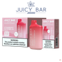 JUICY BAR JB5000 DISPOSABLE VAPE - 5000 PUFFS - SVAB
