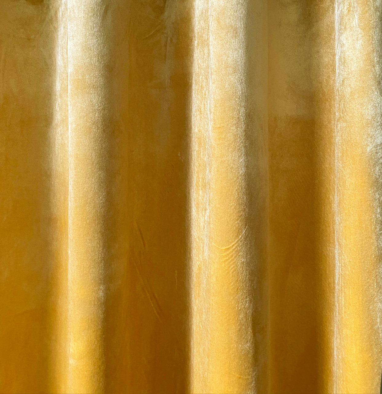 Velvet Eyelet Curtains Ring Top Lined Curtains Italy Plush Velvet Plain Mustard Yellow closer view