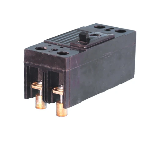 THQD22100
2 Pole Unit, 100A