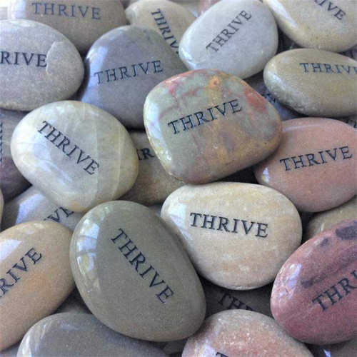 Small Pocket River Stones in Black, 1.25"-1.5"