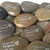 Celebration of Life Rocks Personalized, 2.5"-3.25"