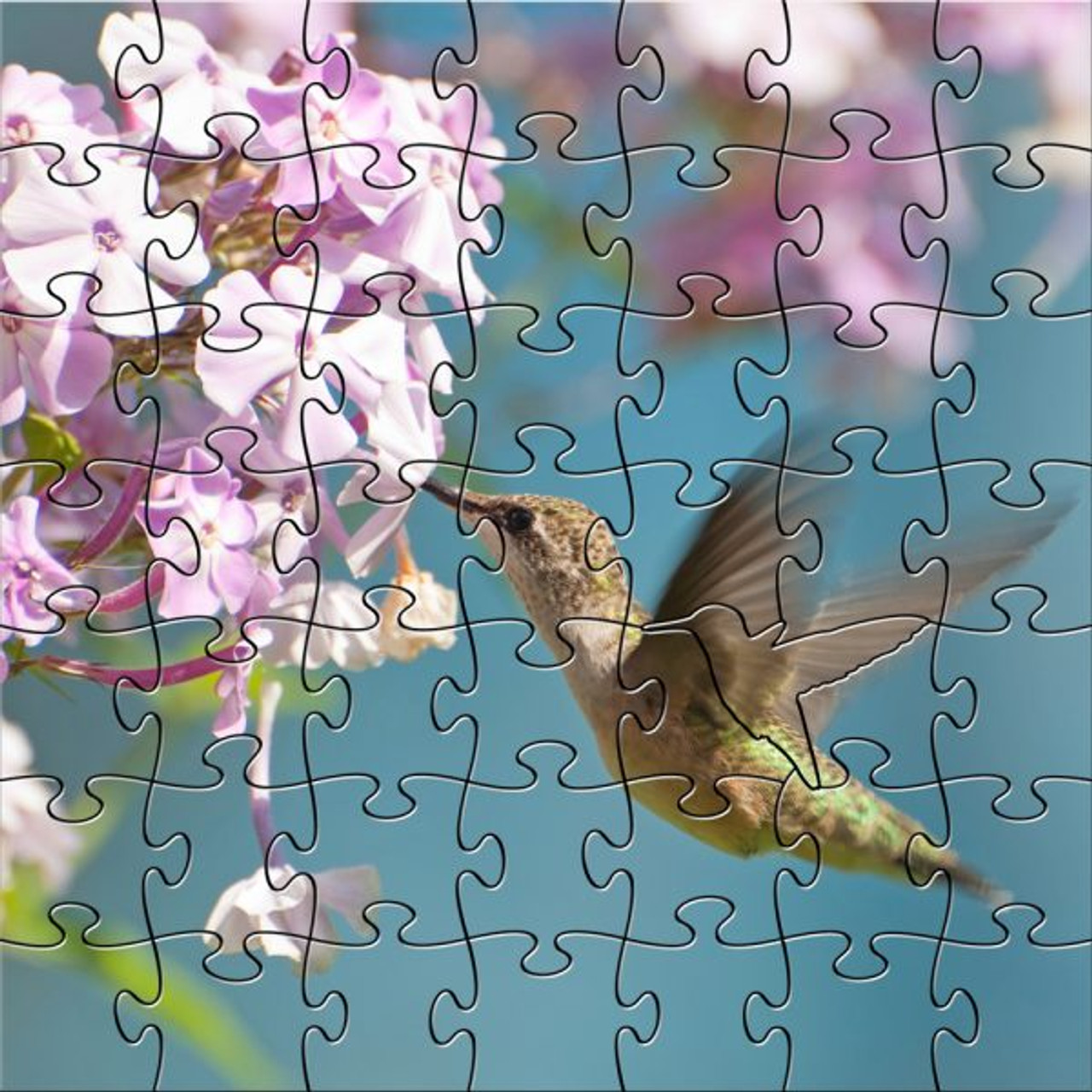 picture puzzle