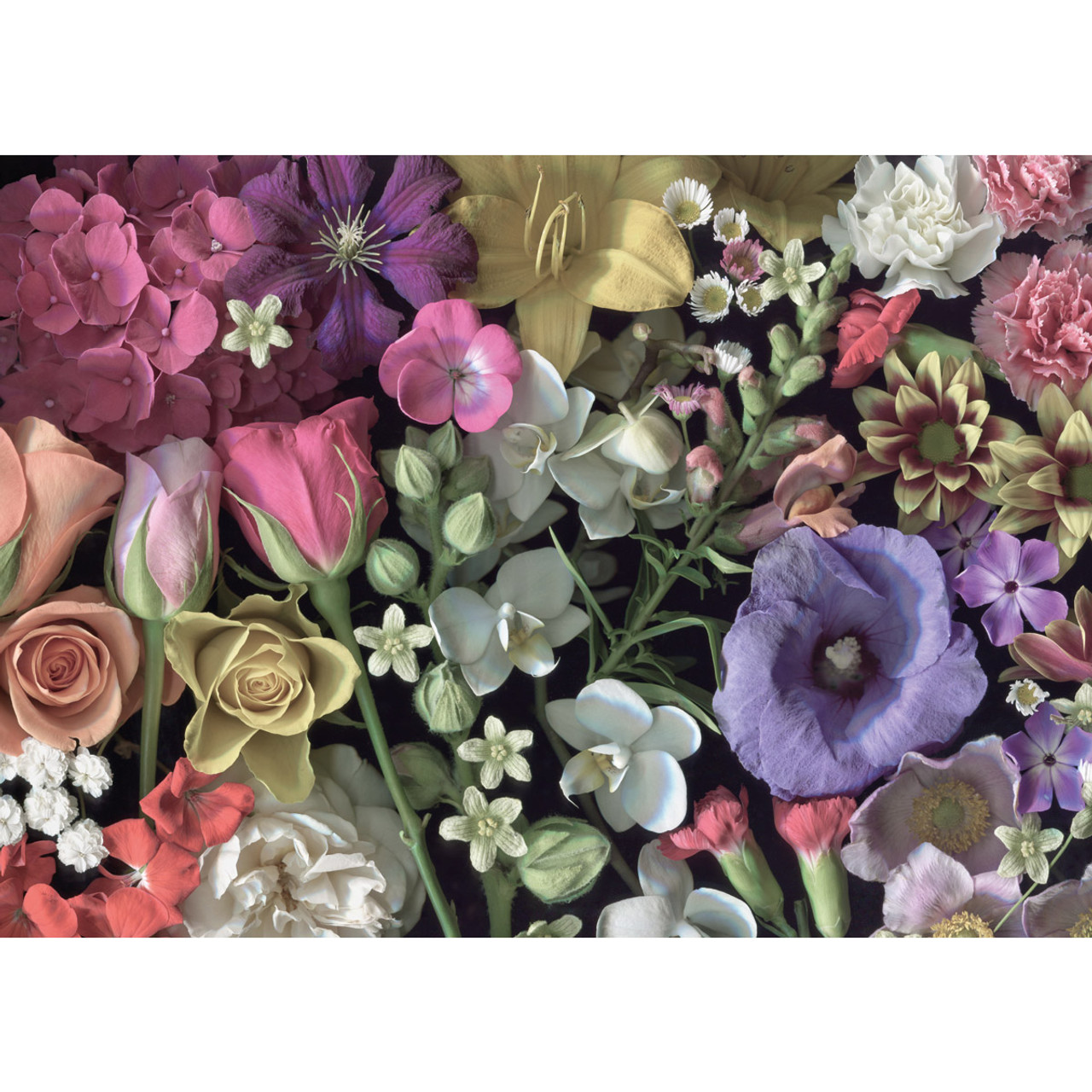 Flowers 1000 Piece Jigsaw Puzzle | Cloudberries - Tri-M Specialty Products