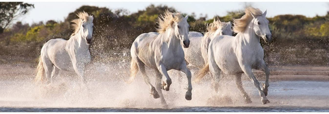 Puzzle Clementoni Panorama Horses 1000 Pièces 