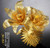 "Romantic Flowers" Gold Metal Model Kit | Microworld