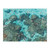 "Gray Malin: The Beach" 500 Piece *Double-Sided* Jigsaw Puzzle | Galison