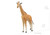"Giraffe" Metal Model Kit | ME1014 | Metal Earth