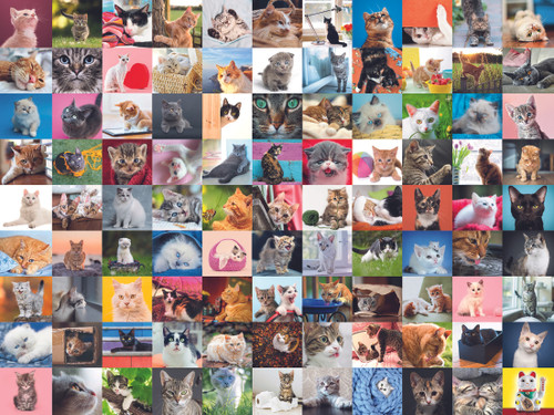 Vacation Cats 1500 Piece Jigsaw Puzzle - Superimposed Photo Grid Of Cats At Famous Landmarks