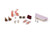 2026 W Club Exclusive Soleil Vanessa Perrin *WAITLIST*
