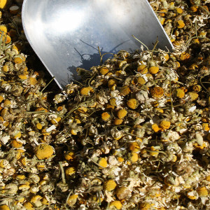 Organic Chamomile Flowers 12.5KG - Bulk